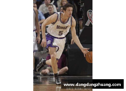 NBA球员：探索他们的职业与个人生活